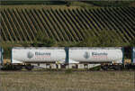 Der Containertragwagen 37 80 4556 311-1 RIV D-AAEC Sgns im Zugverband des B�umlezugs mit 264 003. Buggingen, September 2026.