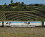 Der Containertragwagen 31 80 4694 300-7 TEN D-VTGCH Sggnss-XL im Zugverband des B�umlezugs mit 264 003. Buggingen, September 2026.