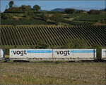 Der Containertragwagen 31 80 4694 301-5 TEN D-VTGCH Sggnss-XL im Zugverband des B�umlezugs mit 264 003. Buggingen, September 2026.