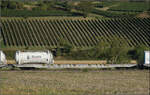 Der Containertragwagen 31 80 4694 297-5 TEN D-VTGCH Sggnss-XL im Zugverband des B�umlezugs mit 264 003. Buggingen, September 2026.