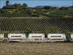 Der Containertragwagen 31 80 4694 293-4 TEN D-VTGCH Sggnss-XL im Zugverband des B�umlezugs mit 264 003. Buggingen, September 2026.