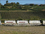 Der Containertragwagen 31 80 4694 306-4 TEN D-VTGCH Sggnss-XL im Zugverband des B�umlezugs mit 264 003. Buggingen, September 2026.