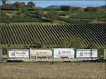 Der Containertragwagen 31 80 4694 287-6 TEN D-VTGCH Sggnss-XL im Zugverband des B�umlezugs mit 264 003. Buggingen, September 2026.