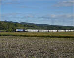 264 003 f�hrt den B�umlezug durchs Markgr�flerland unter Fahrdraht nordw�rts. Buggingen, September 2026.