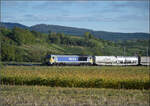 264 003 f�hrt den B�umlezug durchs Markgr�flerland unter Fahrdraht nordw�rts. Buggingen, September 2026.