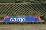 Re 482 004 f�hrt heute unter der Flagge von Nordic Refinance f�r die SBBC einen KLV-Zug nach S�den. Buggingen, September 2026.