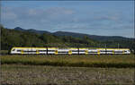 1462 011 auf dem Weg nach Basel. September 2026.