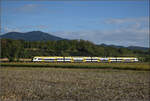 1462 007 auf dem Weg nach Norden. September 2026.