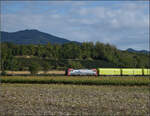 193 461 'Olten' SIEAG-SBBCI ist mit Planenwagen nordw�rts unterwegs. Buggingen, September 2026.