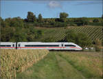  412 080  auf dem Weg nach Norden. Buggingen, September 2026.