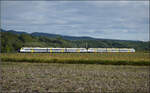 463 002 und 463 006 bei Buggingen. September 2026.