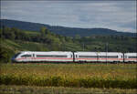  412 008  ist bei Buggingen s�dw�rts in Richtung Schweiz unterwegs. September 2026.
