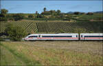  412 019  nordw�rts bei Buggingen. September 2026.