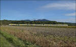 1462 005 und 1462 013 auf dem Weg nach Basel. Buggingen, September 2026.