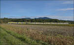 1462 002 und 1462 012 nordw�rts bei Buggingen. September 2026.