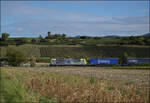 Re 485 013 nordw�rts mit KLV. Buggingen, September 2026.