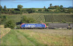 Re 482 009 'Starke Typen' von Nordic Refinance mit Werbung f�r SBB Cargo-Lokf�hrer und Containern auf dem Weg nach Norden. Buggingen, September 2026.