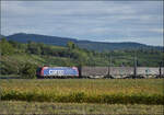 Re 482 009 'Starke Typen' von Nordic Refinance mit Werbung f�r SBB Cargo-Lokf�hrer und Containern auf dem Weg nach Norden. Buggingen, September 2026.