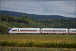  412 008  ist bei Buggingen s�dw�rts in Richtung Schweiz unterwegs. September 2026.