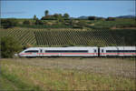  412 008  ist bei Buggingen s�dw�rts in Richtung Schweiz unterwegs. September 2026.