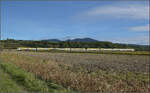 1462 005 und 1462 013 auf dem Weg nach Basel. Buggingen, September 2026.