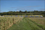1462 002 und 1462 012 nordw�rts bei Buggingen. September 2026.