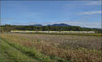 1462 002 und 1462 012 nordw�rts bei Buggingen. September 2026.