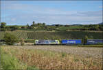 Re 485 013 nordw�rts mit KLV. Buggingen, September 2026.