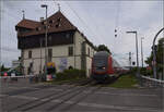 Schwarzwaldbahn, geschoben von 146 237 in Konstanz. August 2024.