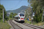 RABe 521 205 und RABe 521 206 (im Bild) in M�hlhausen. August 2026