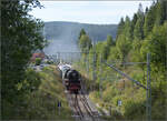 Dampf im Hochschwarzwald.