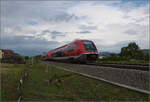 641 037 und 641 004 am künftigen Haltepunkt Warmbach.