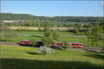 644 041 bei Dogern. April 2026.