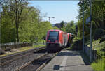641 031 und 641 013 in Laufenburg (Baden). April 2026.