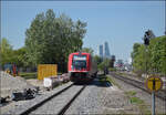 641 031, 641 013 und 641 038 in Grenzach. April 2026.