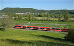 644 058 (im Bild) und 644 037 bei Dogern. April 2026.