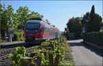 644 049 in Dogern. April 2026.