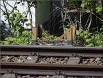 Relikte der Elektrifizierung von S�ckingen, eine Oberleitung wurde bereits 1913 gleichzeitig mit der Einf�hrung des deutschen Bahnstroms hier erstellt. Die ignoranten Bahnverwaltungen von Reichsbahn, Bundesbahn und Deutscher Bahn brauchten doch 113 Jahre, um einen Schritt zur�ck in die Zukunft zu wagen. Ab 2026 darf Bad S�ckingen endlich reelektrifiziert werden.