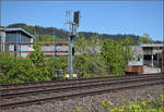 Neues Einfahrsignal nach Bad S�ckingen. Es wird von der DB tats�chlich mehr gemacht als bisher vorgesehen. April 2026.