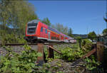 Steuerwagen von 245 006 in Bad S�ckingen bei einem Elektrifizierungsrelikt. April 2026.
