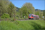 644 049 in Bad S�ckingen. April 2026.