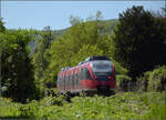 Relikte der Elektrifizierung von S�ckingen, w�hrend 644 024 von Bad S�ckingen nach Basel aufbricht.