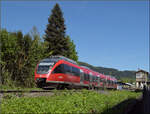 644 024 in Bad S�ckingen.