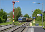 Unerwartet trifft  248 002 von Railsytems RP mit einem Holzzug aus Immendingen in Markdorf zur Kreuzung ein. Mai 2025.