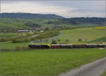 Saisonstart bei der Sauschwänzlesbahn. 

50 2988 am Südhang des Buchberges. April 2024.