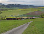 museum-12-737-weizen-fuetzen-zollhaus-blumberg-sauschwaenzlebahn-9/845938/saisonstart-bei-der-sauschwaenzlesbahn-50-2988 Saisonstart bei der Sauschwänzlesbahn. 

50 2988 am Südhang des Buchberges. April 2024.