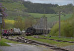 Saisonstart bei der Sauschwänzlesbahn. 

50 2988 in Fützen. April 2024.