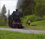 Saisonstart bei der Sauschwänzlesbahn. 

50 2988 am Haltepunkt Lausheim-Blumegg. April 2024.