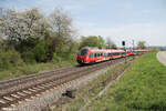 442 607+ 442 306 als S1 S39152 Neumarkt/Oberpfalz - Bamberg bei Pölling.