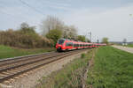 442 736 als S1 39170 Neumarkt/Oberpfalz - Fürth bei Pölling.